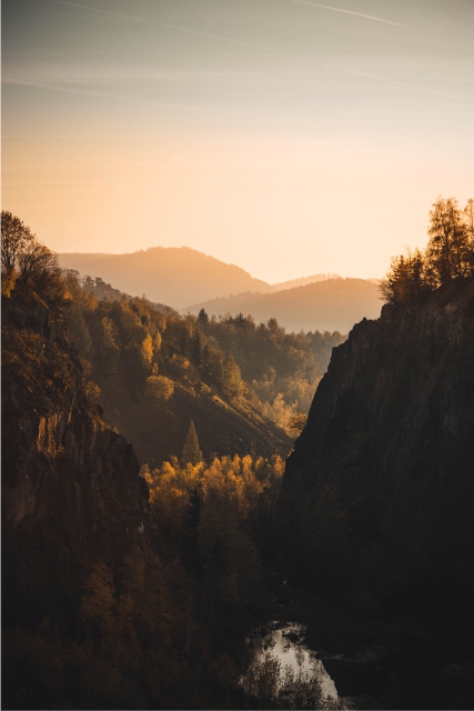 Wandern in der Natur des Harzes